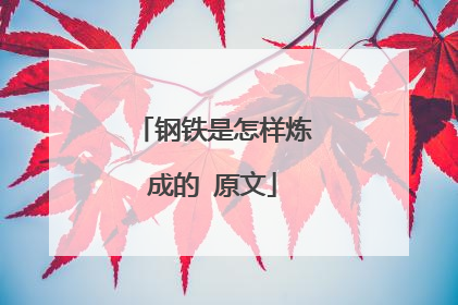 钢铁是怎样炼成的 原文