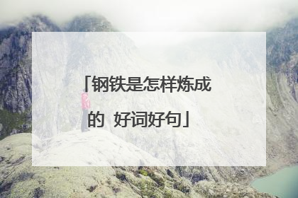 钢铁是怎样炼成的 好词好句