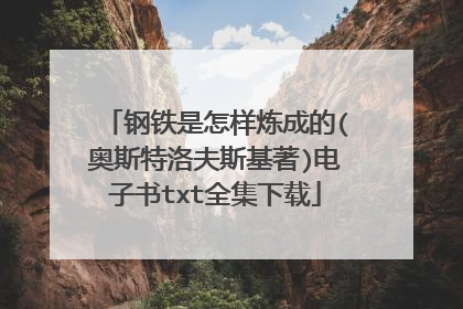 钢铁是怎样炼成的(奥斯特洛夫斯基著)电子书txt全集下载