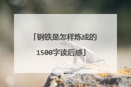 钢铁是怎样炼成的1500字读后感