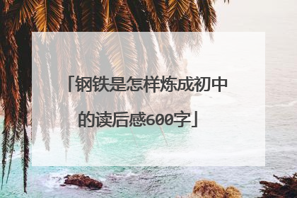 钢铁是怎样炼成初中的读后感600字