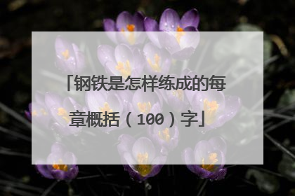 钢铁是怎样练成的每章概括(100)字