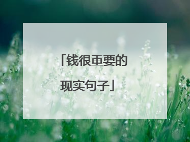钱很重要的现实句子