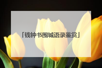 钱钟书围城语录鉴赏