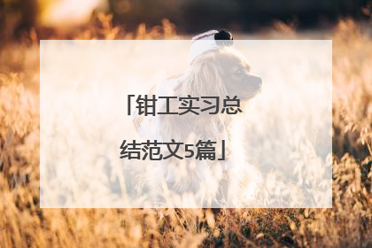 钳工实习总结范文5篇