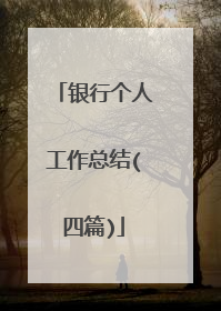 银行个人工作总结(四篇)