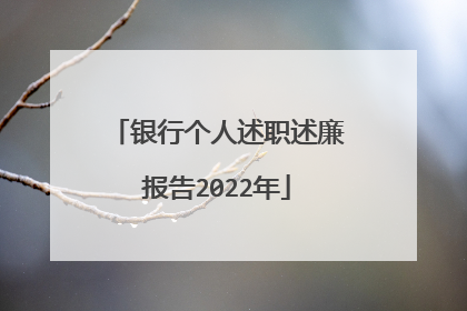 银行个人述职述廉报告2022年