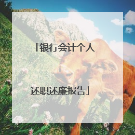 银行会计个人述职述廉报告