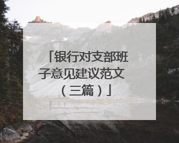 银行对支部班子意见建议范文(三篇)