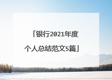 银行2021年度个人总结范文5篇