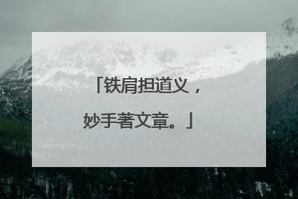 铁肩担道义，妙手著文章。