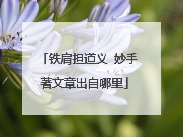 铁肩担道义 妙手著文章出自哪里