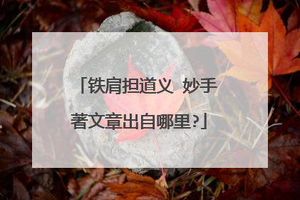 铁肩担道义 妙手著文章出自哪里?