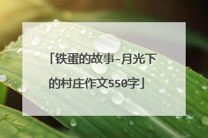 铁蛋的故事-月光下的村庄作文550字