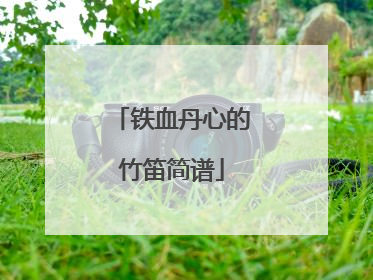 铁血丹心的竹笛简谱