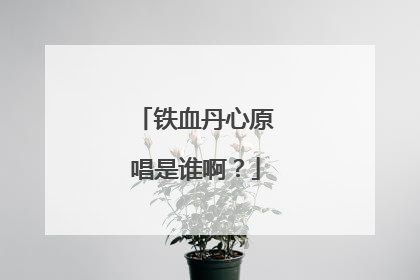 铁血丹心原唱是谁啊？