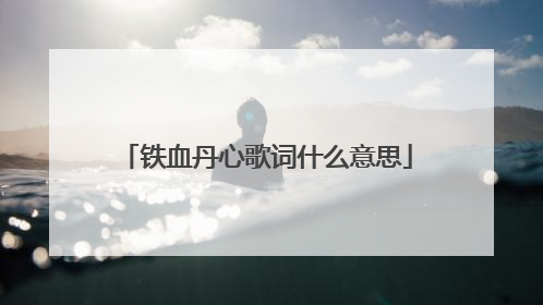 铁血丹心歌词什么意思