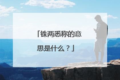 铢两悉称的意思是什么？