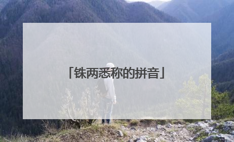 铢两悉称的拼音