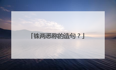 铢两悉称的造句?