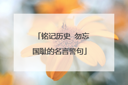 铭记历史 勿忘国耻的名言警句