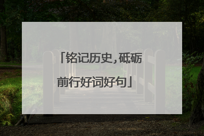 铭记历史,砥砺前行好词好句