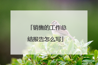 销售的工作总结报告怎么写