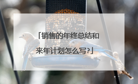 销售的年终总结和来年计划怎么写?