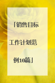 销售目标工作计划范例10篇