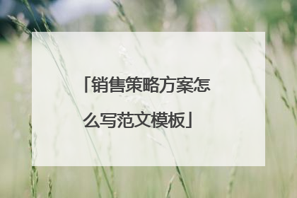 销售策略方案怎么写范文模板