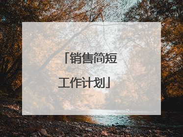 销售简短工作计划