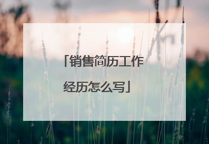 销售简历工作经历怎么写