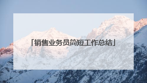 销售业务员简短工作总结