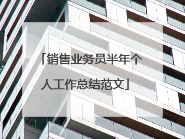 销售业务员半年个人工作总结范文