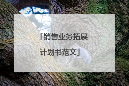 销售业务拓展计划书范文