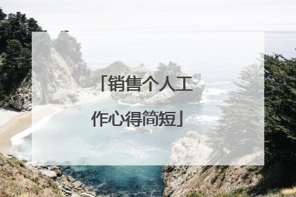 销售个人工作心得简短