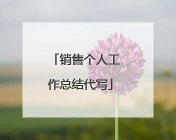 销售个人工作总结代写
