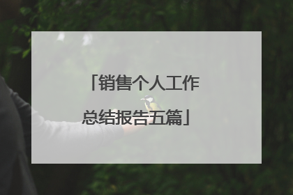 销售个人工作总结报告五篇