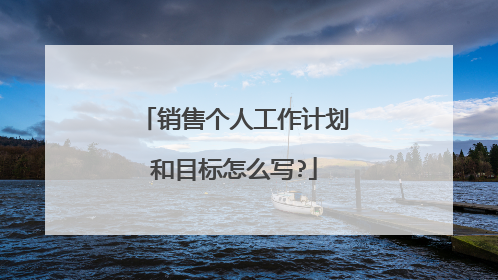 销售个人工作计划和目标怎么写?