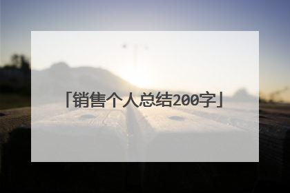销售个人总结200字