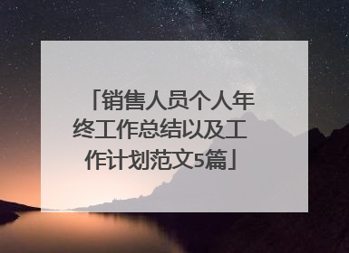 销售人员个人年终工作总结以及工作计划范文5篇