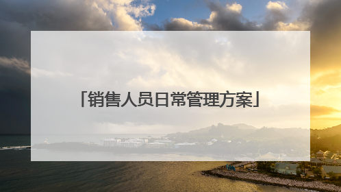销售人员日常管理方案
