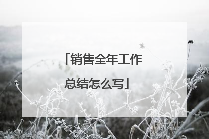 销售全年工作总结怎么写