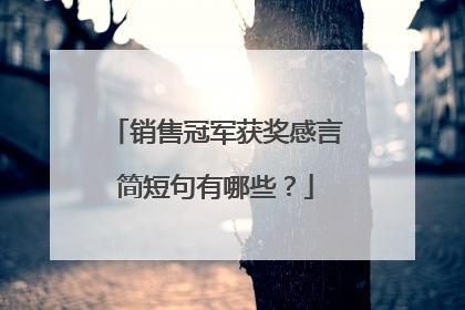销售冠军获奖感言简短句有哪些?