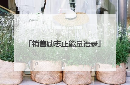 销售励志正能量语录