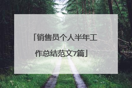 销售员个人半年工作总结范文7篇