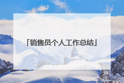 销售员个人工作总结