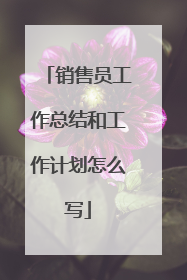 销售员工作总结和工作计划怎么写