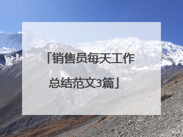销售员每天工作总结范文3篇