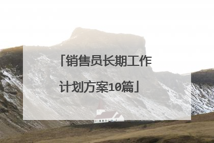 销售员长期工作计划方案10篇